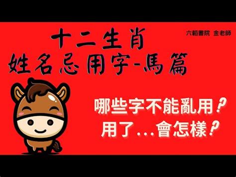 屬馬取名|生肖姓名學.....屬馬的人：適合與不適合的字